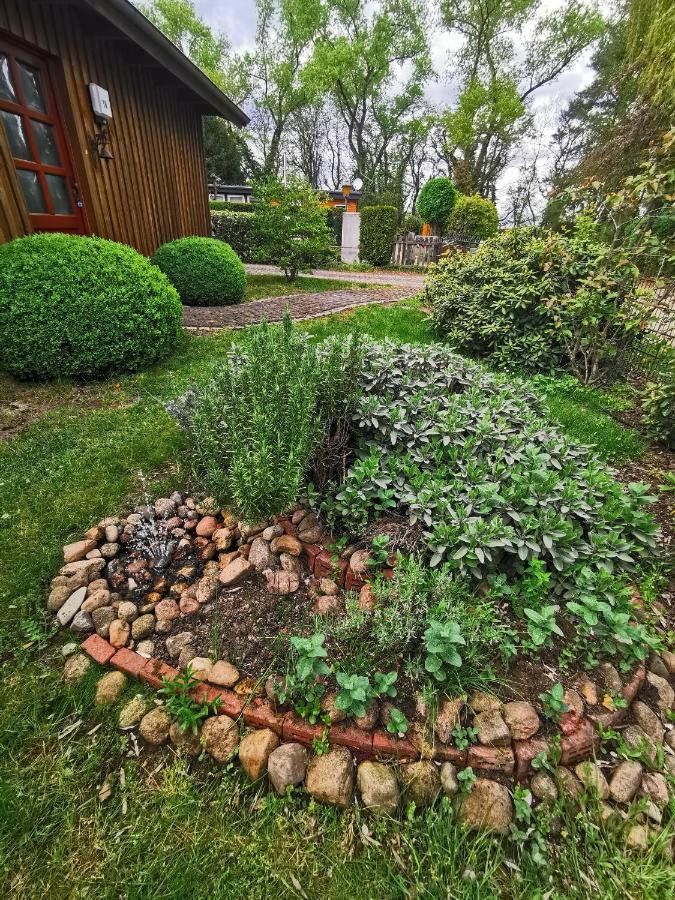 Ferienhaus In Absoluter Seenaehe Fuer 4 Personen Arendsee  Exterior photo
